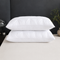LumiWarm™ Deep Sleep Pillows (2pc)